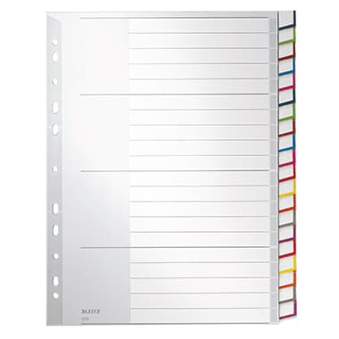 Leitz Register blanko DIN A4 20teilig PP gr
