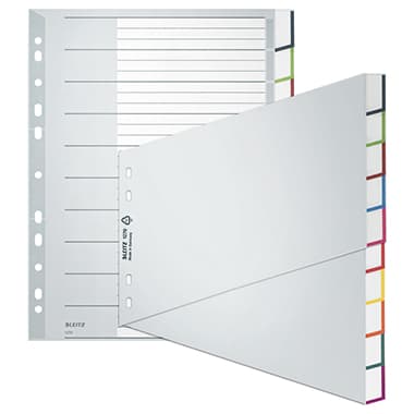 Leitz Register blanko DIN A4 10teilig PP gr