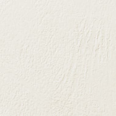 Gbc Einbanddeckel LeatherGrain DIN A4 ws 100St