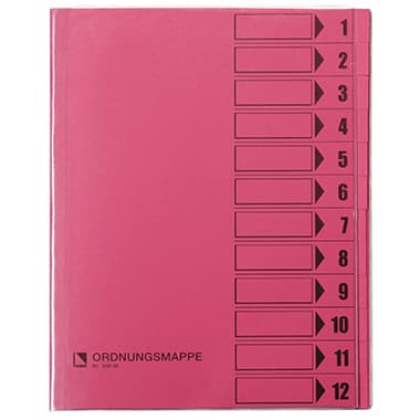 Bene Ordnungsmappe DIN A4 12Fächer rosa