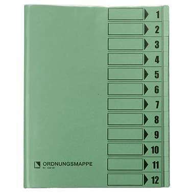 Bene Ordnungsmappe DIN A4 12Fächer grün