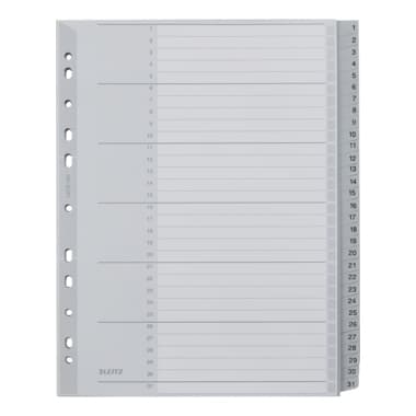 Leitz Register 1-31 DIN A4 31teilig PP grau