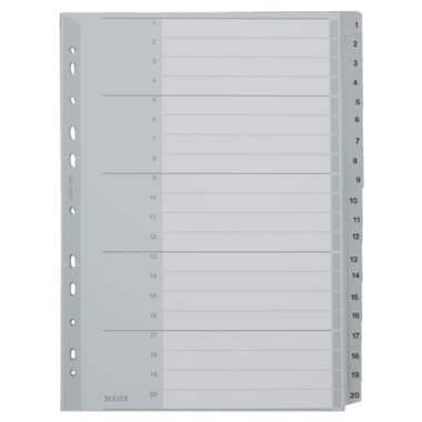 Leitz Register 1-20 DIN A4 volle Höhe 20teilig PP gr