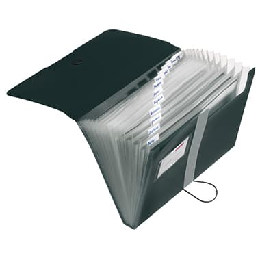 Herlitz Fächermappe easy orga to go A4 12Fächer PP sw