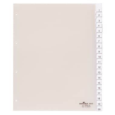Durable Register 245x297cm 20teilig Hartfolie tr