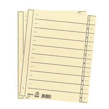 Esselte Trennblatt DIN A4 10/20Taben ch 100St./Pa