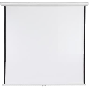 Franken Rolloleinwand 240x240cm