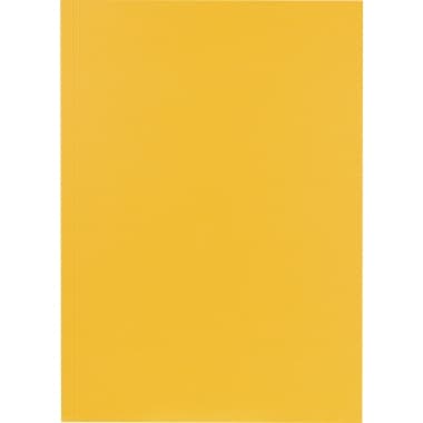 Falken Aktendeckel 23x31,8cm 250g ge 100 St.