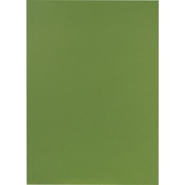Falken Aktendeckel 23x31,8cm 250g gn 100 St.