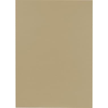 Falken Aktendeckel 23x32cm 250g gr 100 St./Pack.