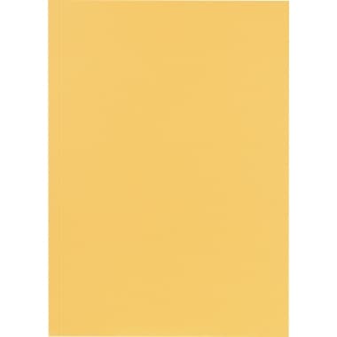 Falken Aktendeckel 23x31,8cm 250g ch 100 St.