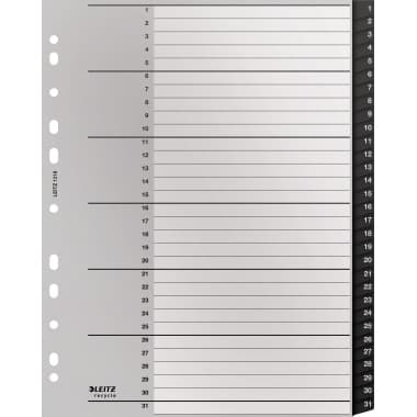 Leitz Register Recycle A4 1-31 sw