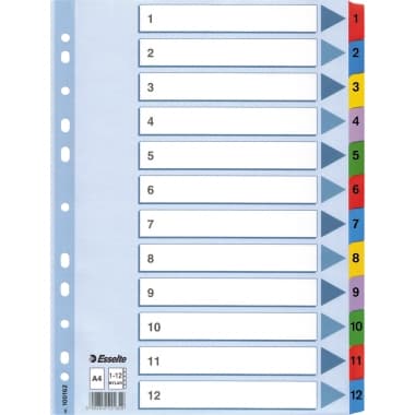 Esselte Register 1-12 DIN A4 Mylar weiß