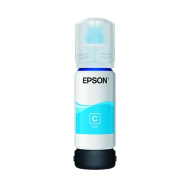 Epson Nachfülltinte 113 70ml 6.000S c