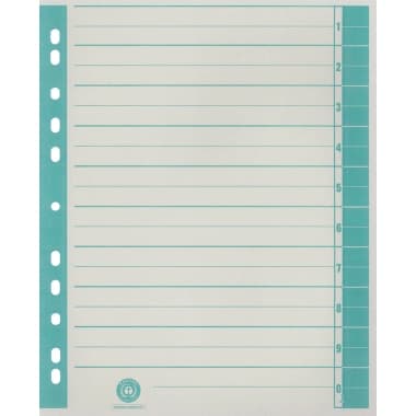 Trennblatt RC Karton A4 ch/gn 100 St.