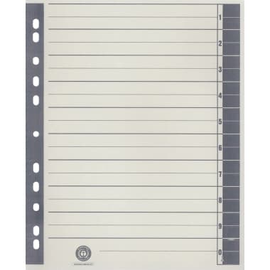 Trennblatt RC Karton A4 ch/gr 100 St.