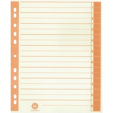 Trennblatt RC Karton A4 ch/or 100 St.
