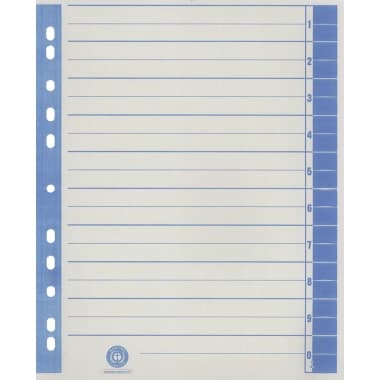 Trennblatt RC Karton A4 ch/bl 100 St.