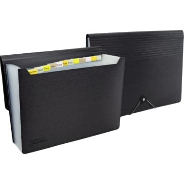 Rapesco Fächermappe Germ-Savvy A4