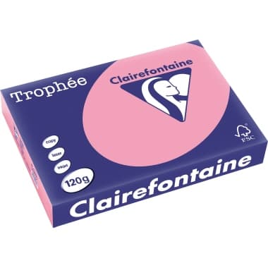 Clairefontaine Kopierpapier A4 120g heckenrose 250Bl