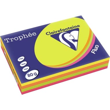 Clairefontaine Kopierpapier A4 80g ne sort. 500Bl.