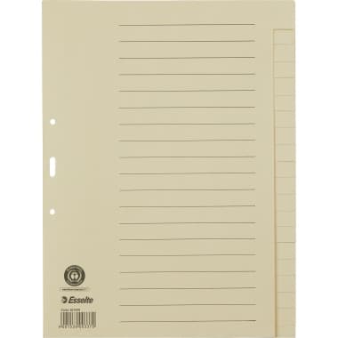 Esselte Register blanko DIN A4 20Bl. Papier ch