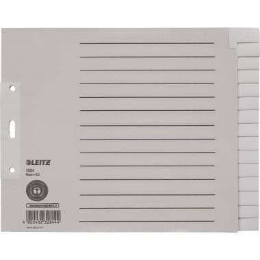 Leitz Register blanko DIN A4 15teilig Papier gr