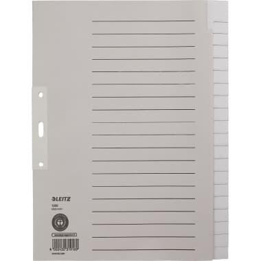 Leitz Register blanko DIN A4 20teilig Papier gr