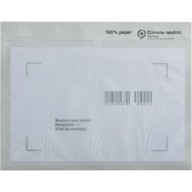 Papier Begleit-Papiertasche C6 175x135mm o.Druck 250 St.