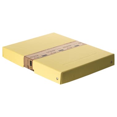Falken Aufbewahrungsbox PURE Box Pastell A4 40mm ge