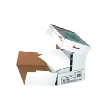 Biotop 3 Papier A4 80g ws 2.500Bl