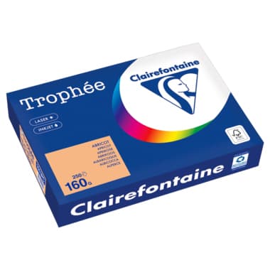 Clairefontaine Kopierpapier A4 160g aprikose 250Bl