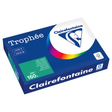 Clairefontaine Kopierpapier A4 160g tannengrün 250Bl