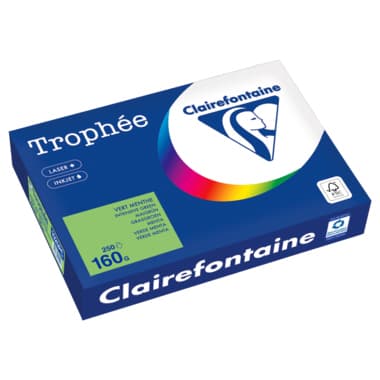 Clairefontaine Kopierpapier A4 160g maigrün 250Bl