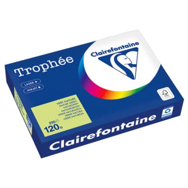 Clairefontaine Kopierpapier A4 120g naturgrün 250Bl