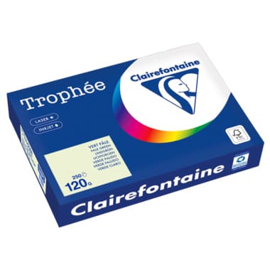 Clairefontaine Kopierpapier A4 120g lindgrün 250Bl