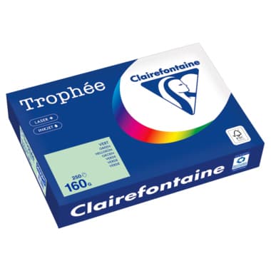Clairefontaine Kopierpapier A4 160g hellgrün 250Bl
