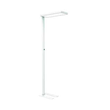 Maul Standleuchte MAULjura LED ws