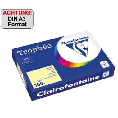 Clairefontaine Kopierpapier A3 160g ge 250Bl