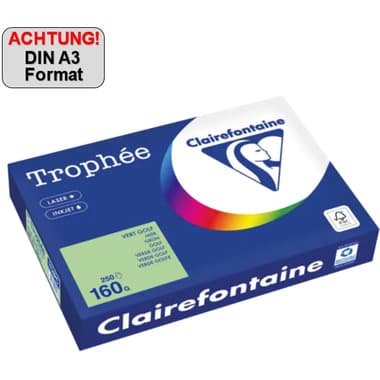 Clairefontaine Kopierpapier A3 160g gn 250Bl