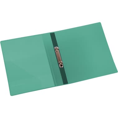 Eichner Ringbuch A4 2Ring 25mm tr gn