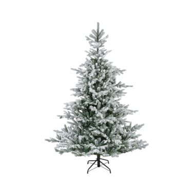 Everlands Tanne Grandis 180cm gn/ws