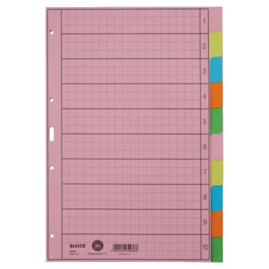 Leitz Register blanko DIN A4 10teilig Papier sort