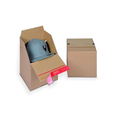 ColomPac Versandkarton Eurobox 194x194x187mm br