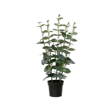 DECORIS Eukalyptus Kuntspflanze 25x54cm gn