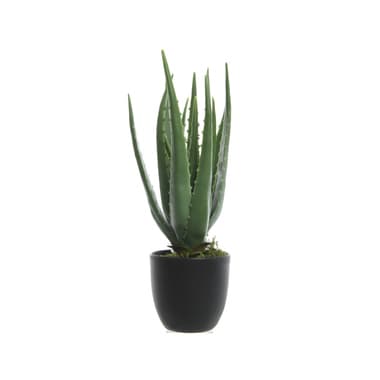 DECORIS Kunstpflanze Aloe Vera im Topf
