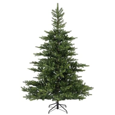 EVERLANDS Grandis Tanne 250x450cm