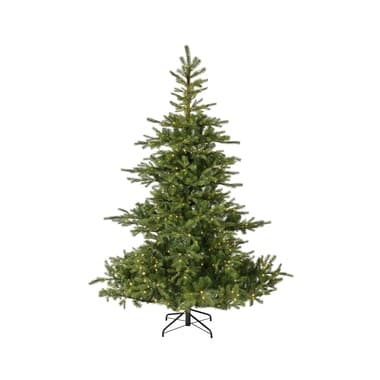 EVERLANDS Grandis Tanne 150x210cm